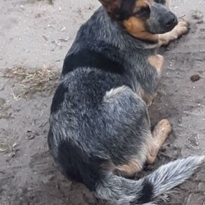 Meet your Posher, Gary